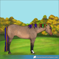 Horse Color:Painted Bay Dun 