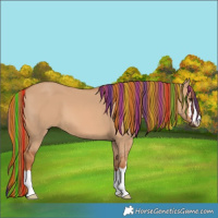 Horse Color:Painted Red Dun
