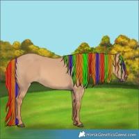 Horse Color:Painted Red Dun