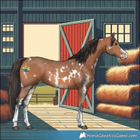Horse Color:White Spotted Bay Sabino Rabicano 