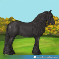 Horse Color:Smoky Black 