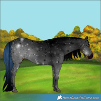 Horse Color:ERROR: UNKNOWN ANOMALY
