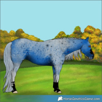 Horse Color:ERROR: UNKNOWN ANOMALY