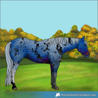 Horse Color:ERROR: UNKNOWN ANOMALY
