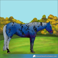 Horse Color:ERROR: UNKNOWN ANOMALY
