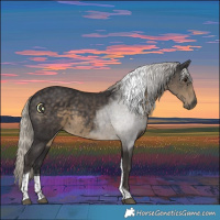 Horse Color:Silver Smoky Black Tobiano 