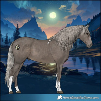 Horse Color:Silver Black Tobiano