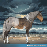 Horse Color:Silver Smoky Black Tobiano