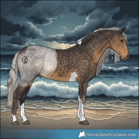 Horse Color:Silver Smoky Black Tobiano 