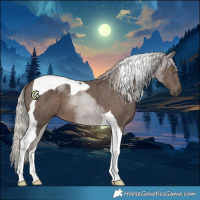Horse Color:Silver Black Tobiano