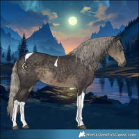 Horse Color:Silver Smoky Black Tobiano 