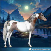 Horse Color:Silver Brown Tobiano 