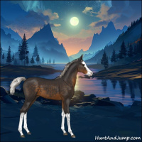 Horse Color:Silver Smoky Black Splash 