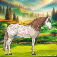 Horse Color:Red Dun Appaloosa  and Red Dun Splash Appaloosa 