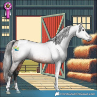 Horse Color:Gray Bay Tobiano 