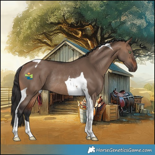 Horse Color:Brown Dun Tobiano Rabicano 