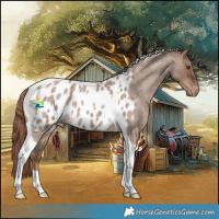 Horse Color:Liver Red Dun Roan Tobiano Appaloosa Rabicano 