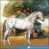 Horse Color:Liver Red Dun Roan Tobiano Appaloosa Rabicano 