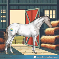 Horse Color:Liver Red Dun Roan Tobiano Near Leopard Rabicano 