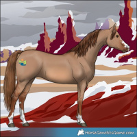 Horse Color:Red Dun 