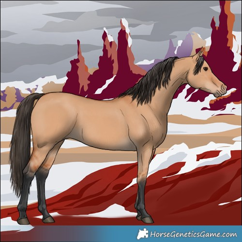 Horse Color:Bay Dun 