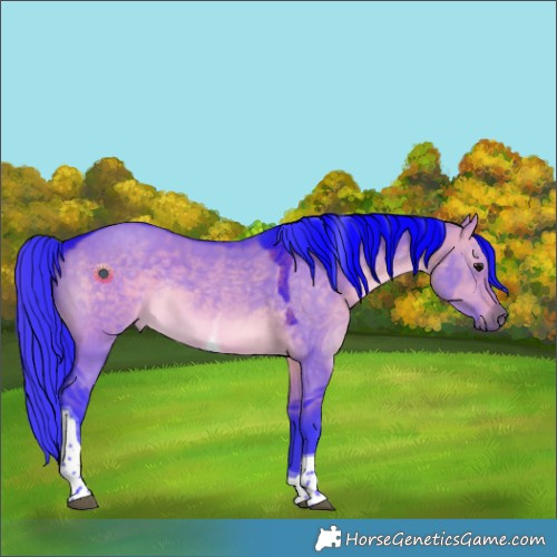 Horse Color:Watercolor Brown Dun Tobiano Rabicano 