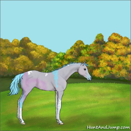 Horse Color:Watercolor Grullo Tobiano Rabicano 