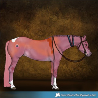 Horse Color:Watercolor Liver Red Dun Tobiano Rabicano 