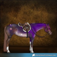 Horse Color:Liver Chestnut Tobiano Rabicano 