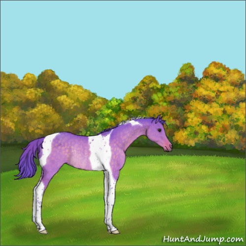 Horse Color:Watercolor Brown Dun Tobiano Rabicano 