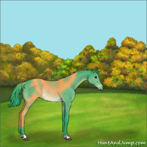 Horse Color:Watercolor Brown Dun Tobiano Rabicano 