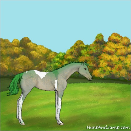 Horse Color:Watercolor Brown Dun Tobiano Rabicano 