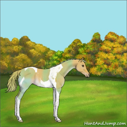 Horse Color:Watercolor Liver Red Dun Tobiano Rabicano 