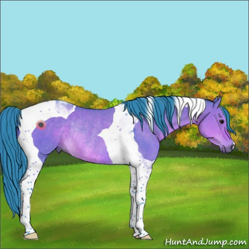Horse Color:Watercolor Brown Dun Tobiano Rabicano 