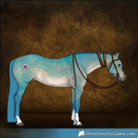 Horse Color:Watercolor Brown Dun Tobiano Rabicano