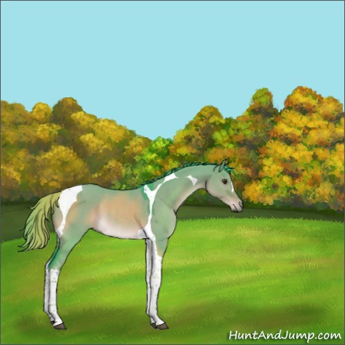 Horse Color:Watercolor Liver Red Dun Tobiano Rabicano 