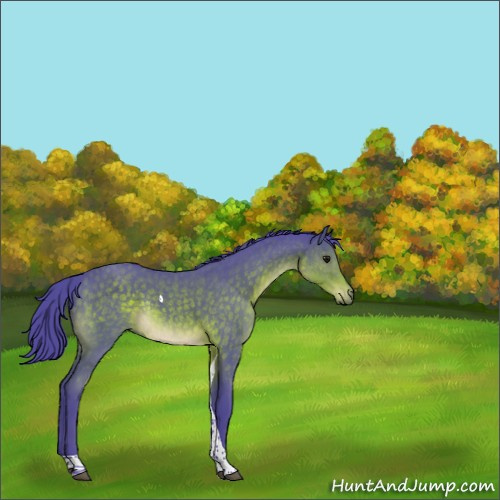 Horse Color:Watercolor Brown Tobiano Rabicano 