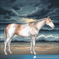 Horse Color:White Spotted Silver Bay 