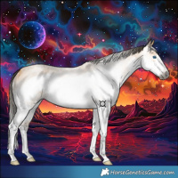 Horse Color:Gray Buckskin Roan Splash Frame Rabicano 