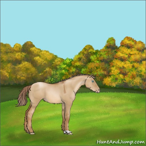 Horse Color:Gray Palomino Pearl Dun 