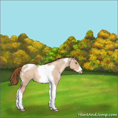Horse Color:Liver Red Dun Pearl Tobiano Frame Rabicano 