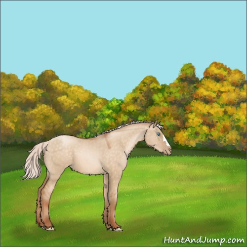 Horse Color:Silver Buckskin Pearl Dun 