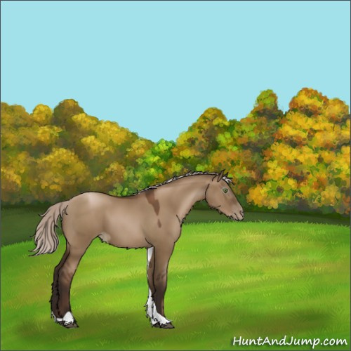 Horse Color:Gray Silver Grullo Pearl Tobiano 