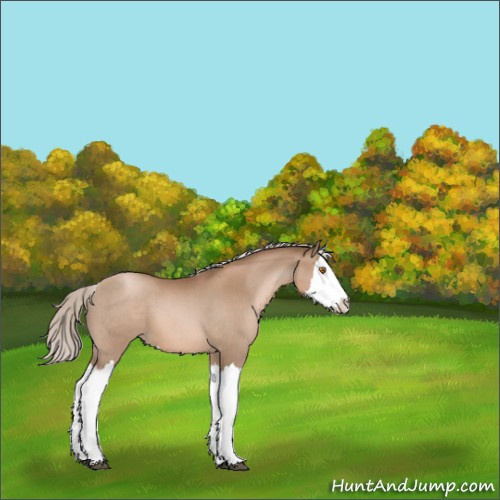 Horse Color:Silver Black Pearl Splash 