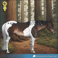 Horse Color:Brown Tobiano
