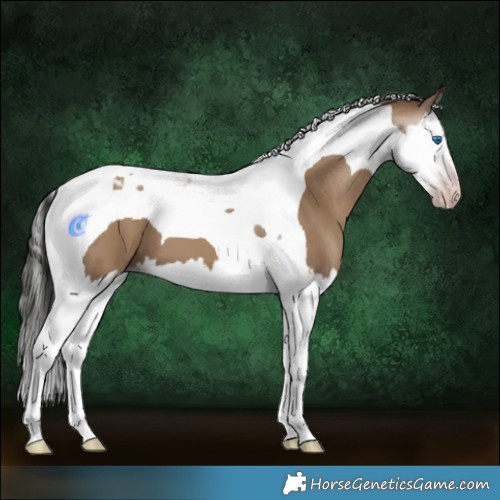 Horse Color:Gray Classic Champagne Dun Splash Tobiano