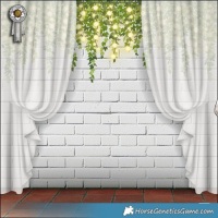 Horse Color:White Spotted Brown Ice Splash Tobiano Rabicano 