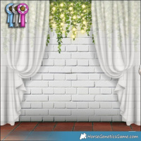 Horse Color:White Spotted Brown Ice Splash Tobiano Rabicano