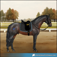 Horse Color:Brown Rabicano 