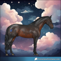 Horse Color:Brown Rabicano 